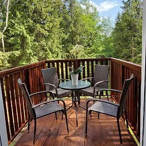  Apartament Przy Lesie